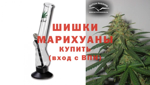 ECSTASY Богданович