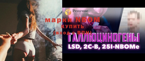 ECSTASY Богданович