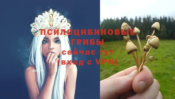 прущий лед Беломорск