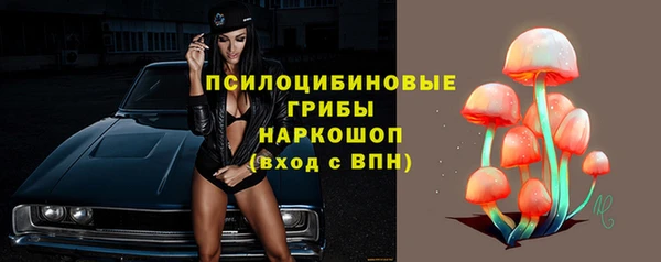 гашик Белоозёрский