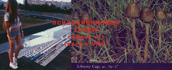 не бодяженный Богородицк