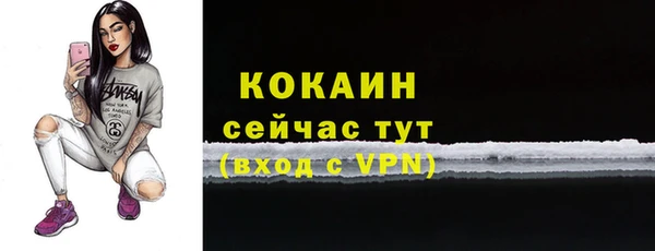 ECSTASY Богданович