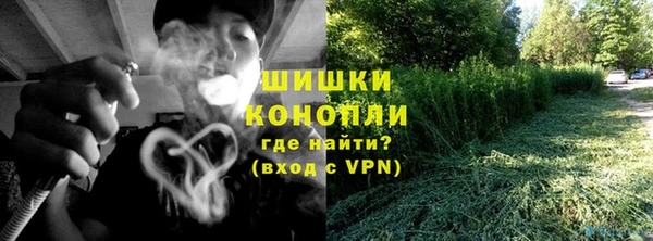 крисы Богородск