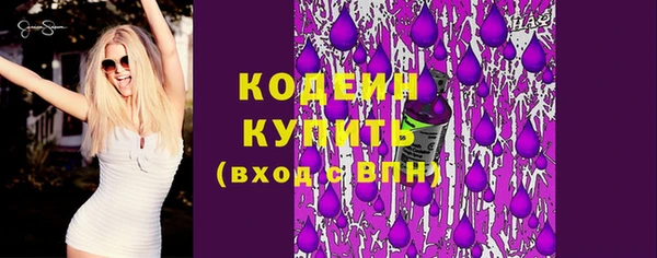 ECSTASY Богданович