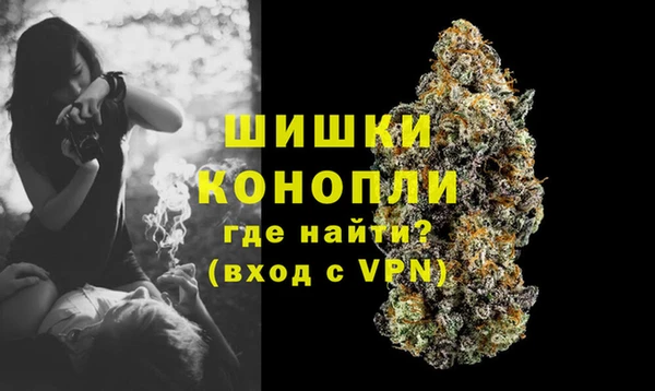 ECSTASY Богданович