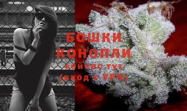 ECSTASY Богданович